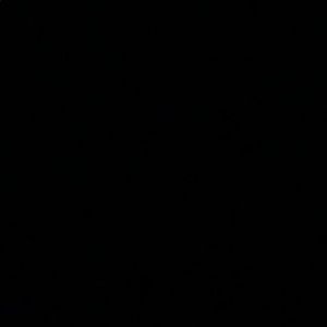 Meet your Posher, Owen